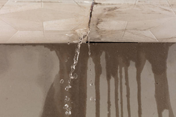 Professional Structural Drying technician working in Norton, MA